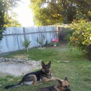 Meet your Posher, Sandy